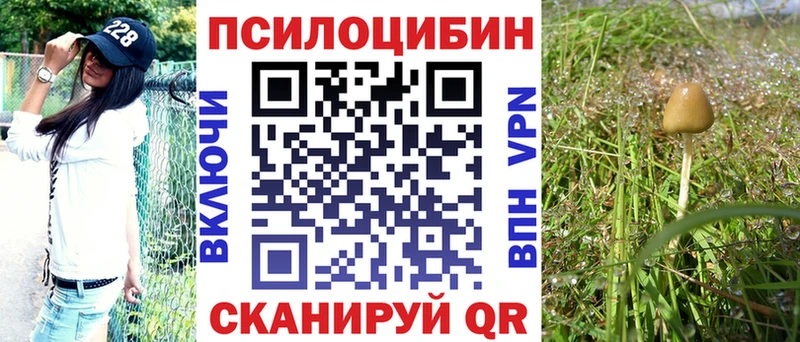 darknet официальный сайт Дальнереченск Псилоцибиновые грибы прущие грибы продажа наркотиков